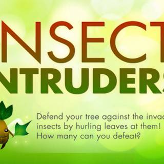 Insect Intruders