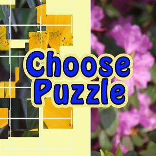 Choose Puzzle