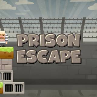 Prison Escape