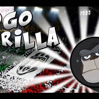 Go Go Gorilla