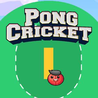 Pong Cricket