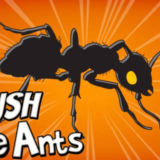 Crush the Ants