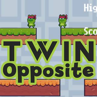 Twin Opposite