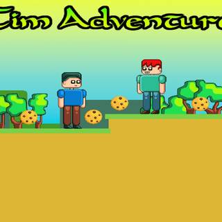 Tim Adventures