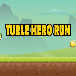 Turtle Hero Run