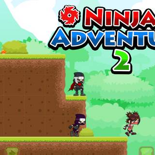 Ninja Adventure 2