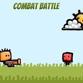 Combat Battle
