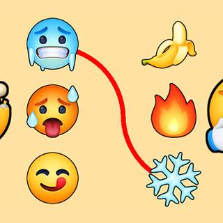 Emoji Puzzle Riddle