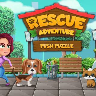 Push Puzzle Rescue Adventure