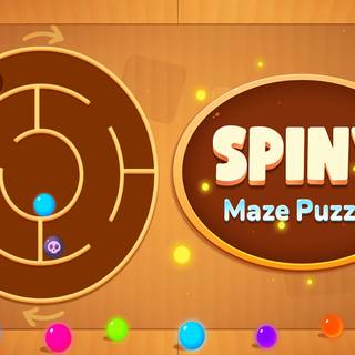 Spiny Maze Puzzle