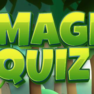 Image Quiz