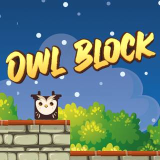 Owl Block